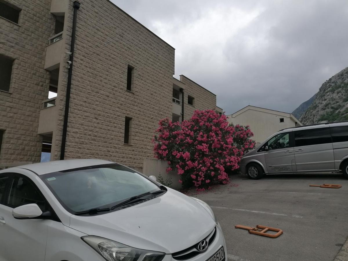 Villa Milla Kotor Buitenkant foto