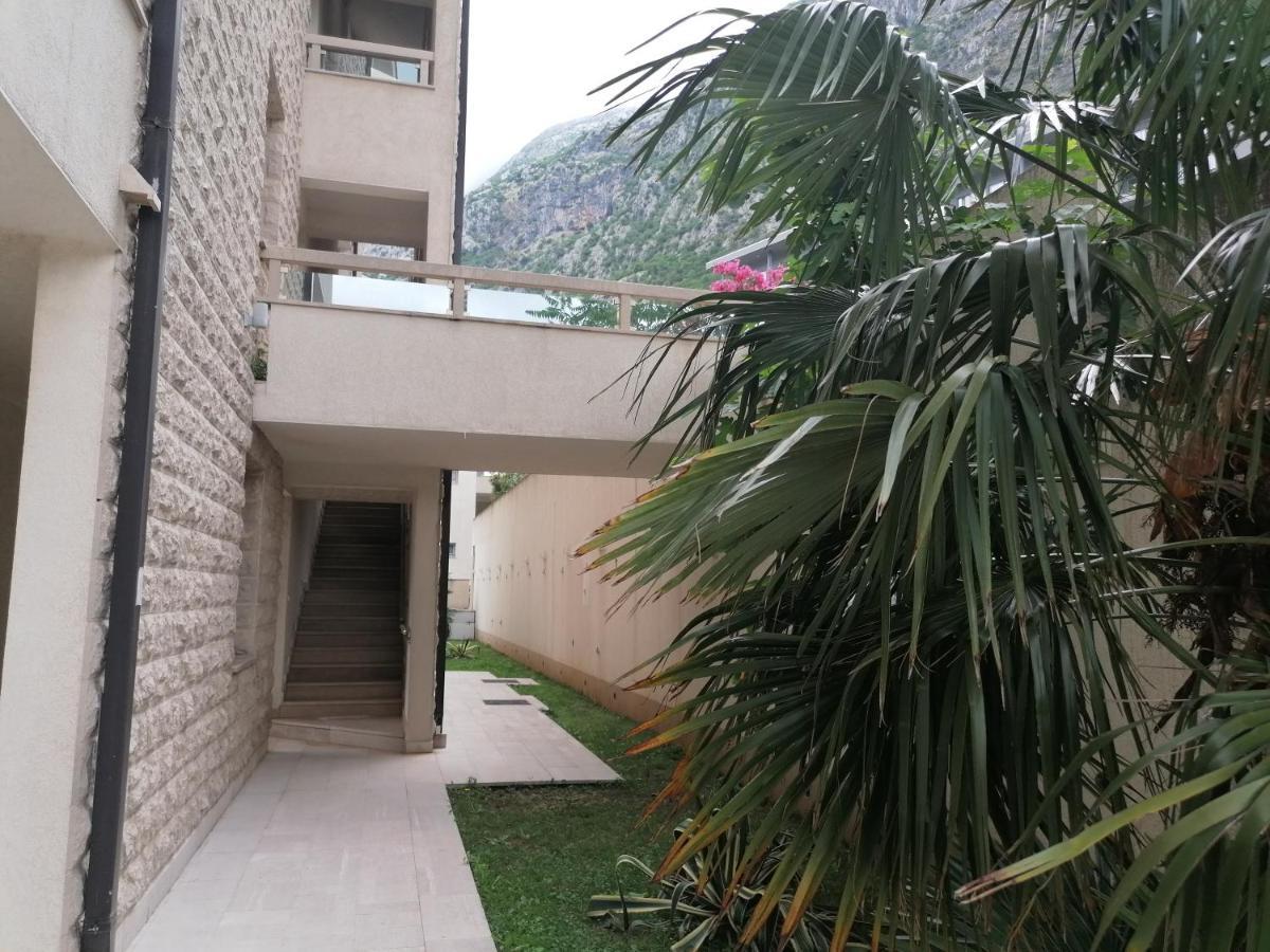 Villa Milla Kotor Buitenkant foto